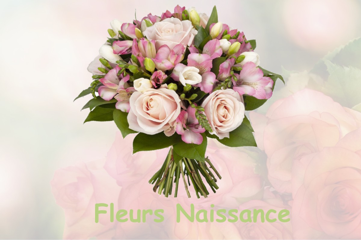 fleurs naissance SAINT-UTIN